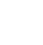 Timber Therapy Logo